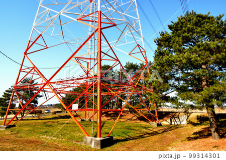 千葉県　手賀沼沿いに架かる架空送電線と鉄塔の風景 99314301