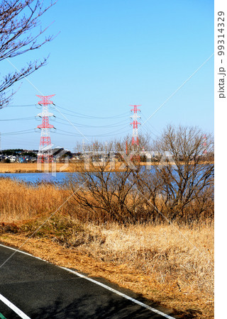 千葉県　手賀沼沿いに架かる架空送電線と鉄塔の風景 99314329