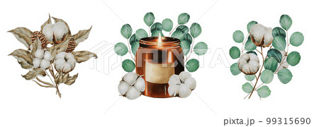 Watercolor compositions of candles and dried flowers, as well as bouquets of eucalyptus and cotton. Hand painting clipart on an isolated background. Print for wedding invitation, designers, decoration 99315690