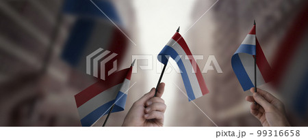 A group of people holding small flags of the Netherlands in their hands 99316658
