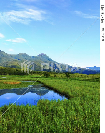 知床五湖の一湖水面と絶景 99316991