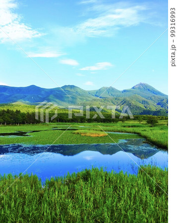 知床五湖の一湖水面と絶景 知床五湖の一湖水面と絶景 99316993