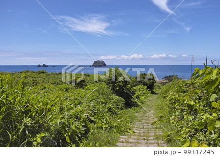 夏の飛島 夏の飛島 99317245