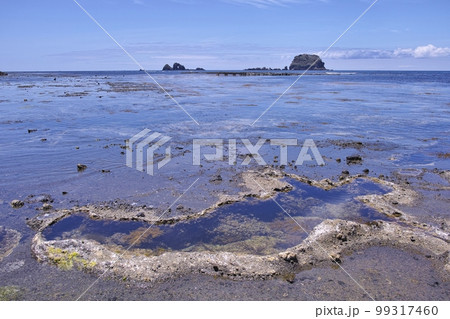 夏の飛島 99317460