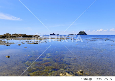 夏の飛島 夏の飛島 99317515