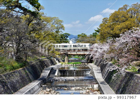 アーバンネットワーク 東海道本線 桜咲き夙川鉄橋を行く アーバンネットワーク 東海道本線 桜咲き夙川鉄橋を行く 99317967