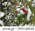 葉っぱの上に積もった雪と赤い実 99318646