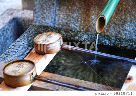 梨木神社の染井 99319711