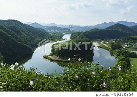 腺癌村 西江 寧越郡 99320354