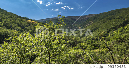 Valle del Jerte, Spain 99320488