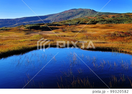 弥陀ヶ原の池塘群 弥陀ヶ原の池塘群 99320582