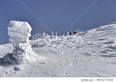 冬の蔵王トレッキング 99321508