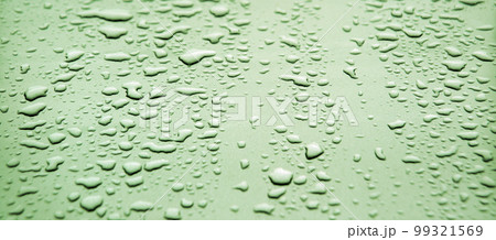 Raindrops on the hood of a car Raindrops on the hood of a car 99321569