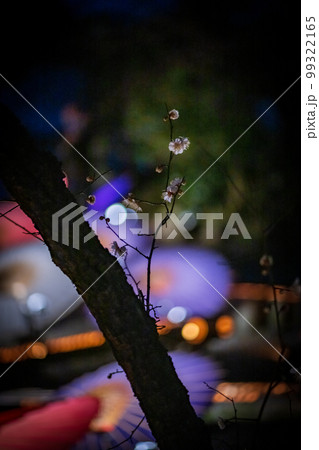 冬の風物詩山鹿市の夜のイベント百華百彩 冬の風物詩山鹿市の夜のイベント百華百彩 99322165