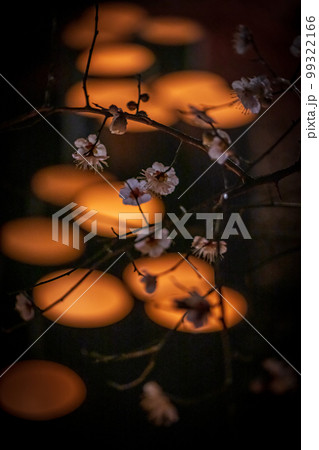 冬の風物詩山鹿市の夜のイベント百華百彩 99322166