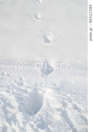 雪の日の足跡 99322384