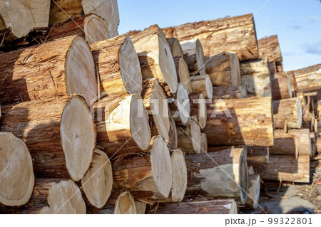 積み上げられた木材 積み上げられた木材 99322801