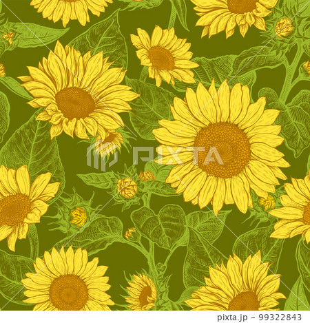 Seamless pattern with Sunflower 8 99322843