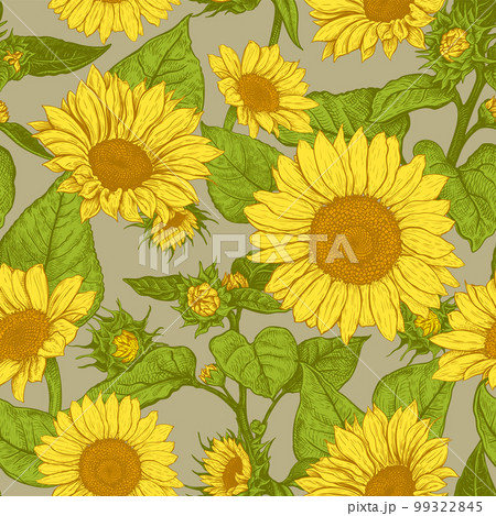 Seamless pattern with Sunflower 7 99322845