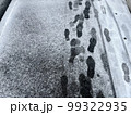 微かな雪の足跡 99322935