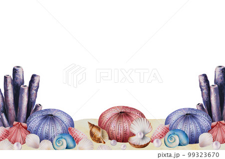 Watercolor composition with corals, urchin, shells. Hand painting clipart underwater life objects on a white isolated background. For designers, decoration, postcards, wrapping paper, scrapbooking Watercolor composition with corals, urchin, shells. Hand painting clipart underwater life objects on a white isolated background. For designers, decoration, postcards, wrapping paper, scrapbooking 99323670