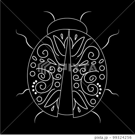 Beetle white linear illustration on black background. Botanical collection Beetle white linear illustration on black background. Botanical collection 99324256