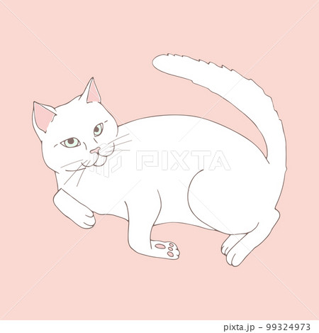 Cute white cat posing on pastel pink background. Hand drawn cat. Sketch. Vector art Cute white cat posing on pastel pink background. Hand drawn cat. Sketch. Vector art 99324973
