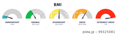 Body Mass Index or mass index scale. Types of BMI.Weight loss concept. Vector isolated illustration Body Mass Index or mass index scale. Types of BMI.Weight loss concept. Vector isolated illustration 99325081