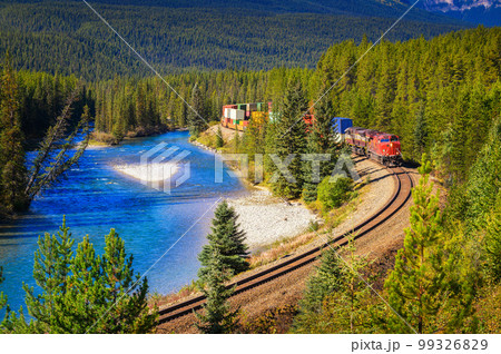 Train passing through Morant's Curve in bow valley, Canada 99326829