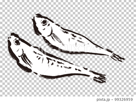 はたはたの干物の描き筆書きイラスト　干し魚 99326959