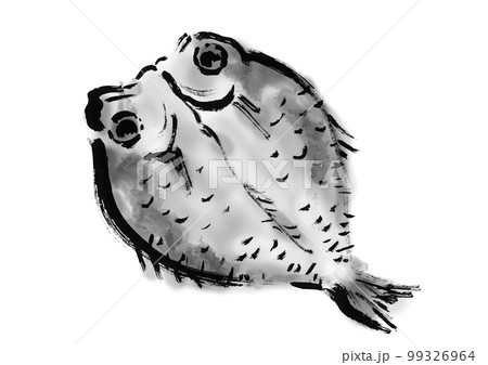 のどぐろの干物の描き筆書きイラスト　干し魚 99326964
