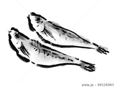 はたはたの干物の描き筆書きイラスト　干し魚 99326965