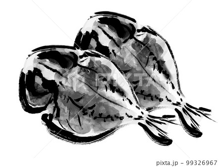 鯵の干物の描き筆書きイラスト　干し魚 99326967