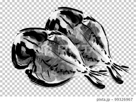 鯵の干物の描き筆書きイラスト　干し魚 99326967