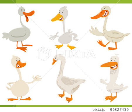 cartoon funny geese farm animal characters set cartoon funny geese farm animal characters set 99327459
