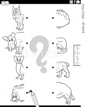 match halves of cartoon animals pictures coloring page match halves of cartoon animals pictures coloring page 99327502