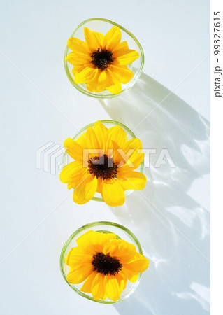 小さなガラスの器にひとつずつ活けられた涼し気な3つの黄色いヒマワリの花 小さなガラスの器にひとつずつ活けられた涼し気な3つの黄色いヒマワリの花 99327615