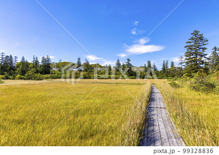 神仙沼 (9月　北海道　晴れ) 99328836