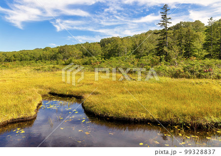 神仙沼 (9月　北海道　晴れ) 99328837