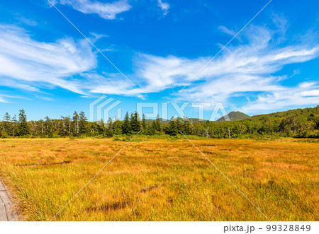 神仙沼 (9月　北海道　晴れ) 99328849