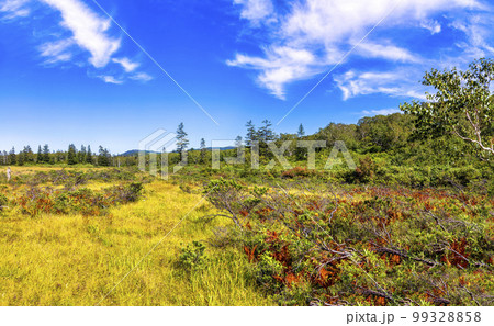 神仙沼 (9月 北海道 晴れ) 神仙沼 (9月 北海道 晴れ) 99328858