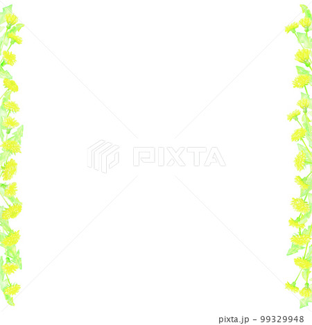 タンポポ畑のラインフレーム。水彩絵の具で描いたイラスト。 99329948
