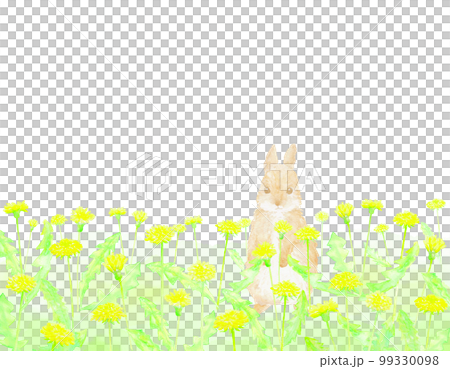 タンポポ畑にたたずむ野ウサギのフレーム。水彩絵の具で描いたイラスト。 タンポポ畑にたたずむ野ウサギのフレーム。水彩絵の具で描いたイラスト。 99330098