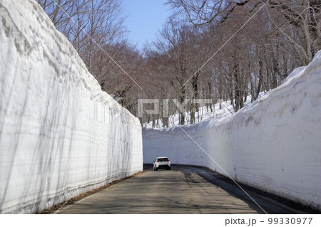 春の八甲田十和田ゴールドラインの雪の回廊 春の八甲田十和田ゴールドラインの雪の回廊 99330977