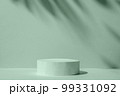 Minimal mint background color with copy space and natural shade and podium to show the product in 99331092