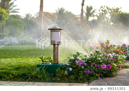 Plastic sprinkler irrigating flower bed on grass lawn with water in summer garden. Watering green vegetation duging dry season for maintaining it fresh. Plastic sprinkler irrigating flower bed on grass lawn with water in summer garden. Watering green vegetation duging dry season for maintaining it fresh. 99331301