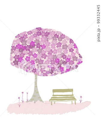 桜の木の下のベンチ 桜の木の下のベンチ 99332445