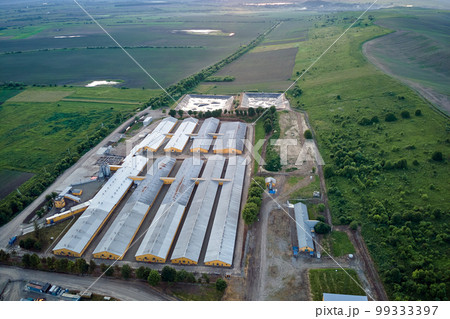 Aerial view of cattle farm buildings between green farmlands Aerial view of cattle farm buildings between green farmlands 99333397