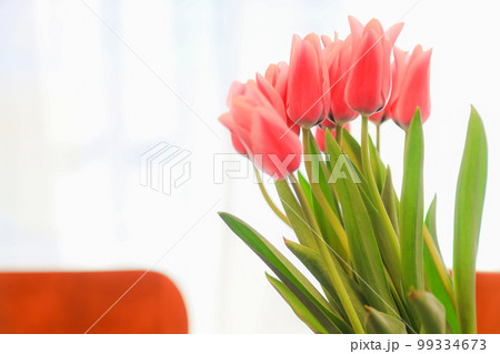 室内に飾られているチューリップ　 99334673