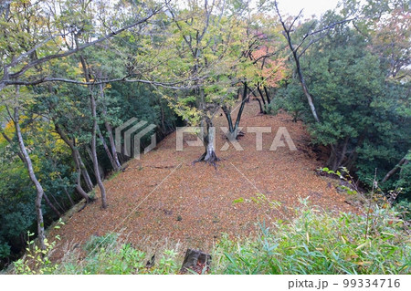 佐柿国吉城 本丸から見た連郭曲輪群 佐柿国吉城 本丸から見た連郭曲輪群 99334716